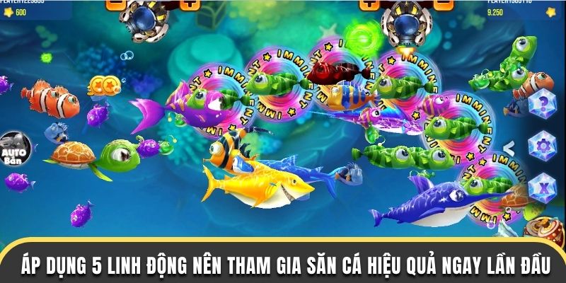 Áp dụng 5 bí quyết nên tham gia săn cá hiệu quả ngay lần đầu