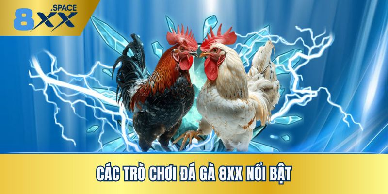 Sự đa dạng và độc đáo của các thể loại đá gà 8XX tuyệt đỉnh