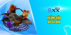 Đá Gà Đòn – 8XX Bật Mí Chiến Thuật Chơi Dễ Thưởng Lớn